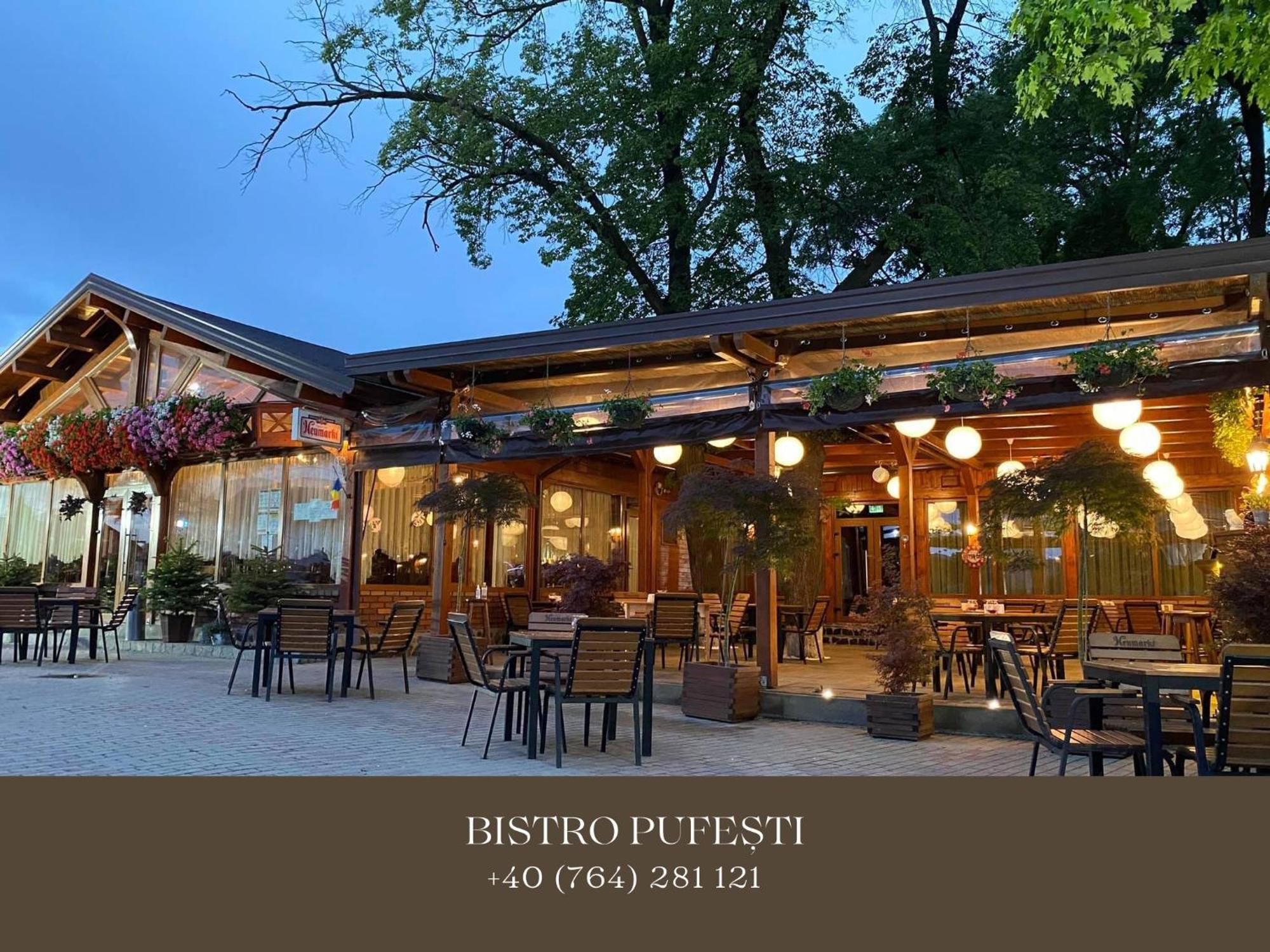 Cosy Apartments & Bistro Pufesti 외부 사진